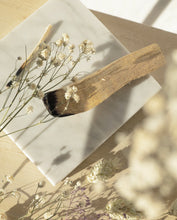 Afbeelding in Gallery-weergave laden, Palo Santo hout (3 stuks)